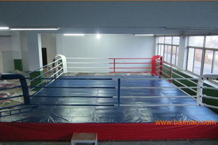 安徽不倒翁拳擊沙袋及散打臺(tái)購買指南 品牌、廠家與價(jià)格全解析