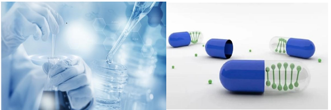 跨界融合 2022第九屆生物發(fā)酵展引領(lǐng)日用品技術(shù)研發(fā)新浪潮